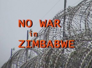 Report Cover Photo: Razor wire on the border between Zimbabwe and South Africa