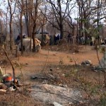Report Cover Photo: Informal mining settlement in Matabeleland Report Cover Photo: Informal mining settlement in Matabeleland
