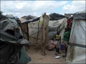 Makeshift housing in Hopley Farm, Harare